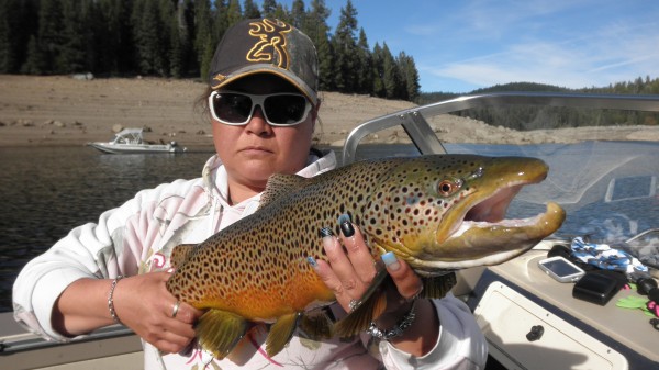 On the Chew: Western Trout Are Voracious Eaters in Spring - Game