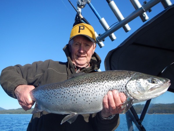 Lake Ontario Salmon and Trout: Trolling for Toads–and Table - In-Fisherman