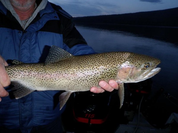 Trophy Trout Guide - Your Source for All Things Trophy Trout!