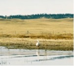 Spinney Reservoir